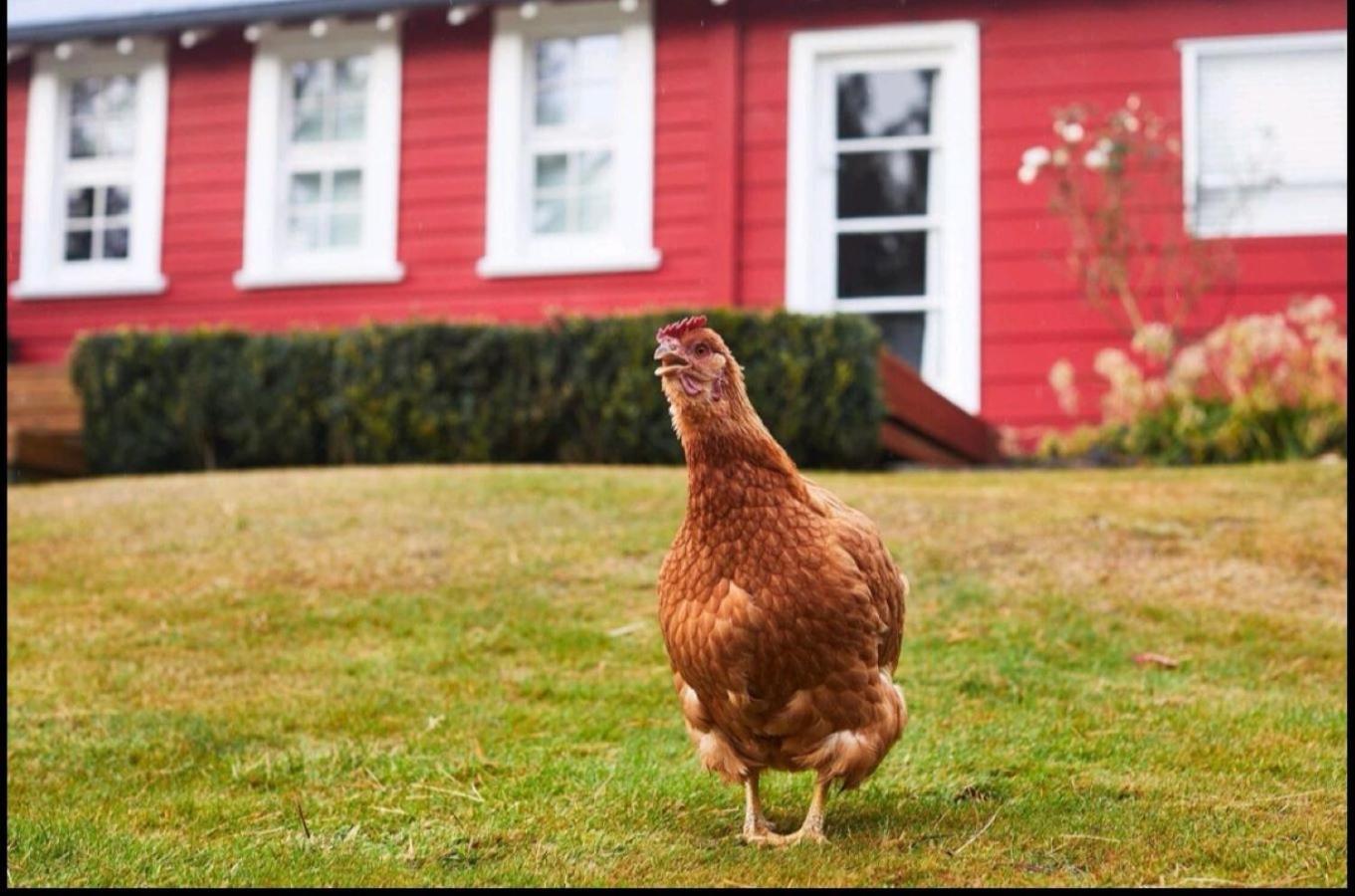 Villa Little Red School House Oamaru Esterno foto